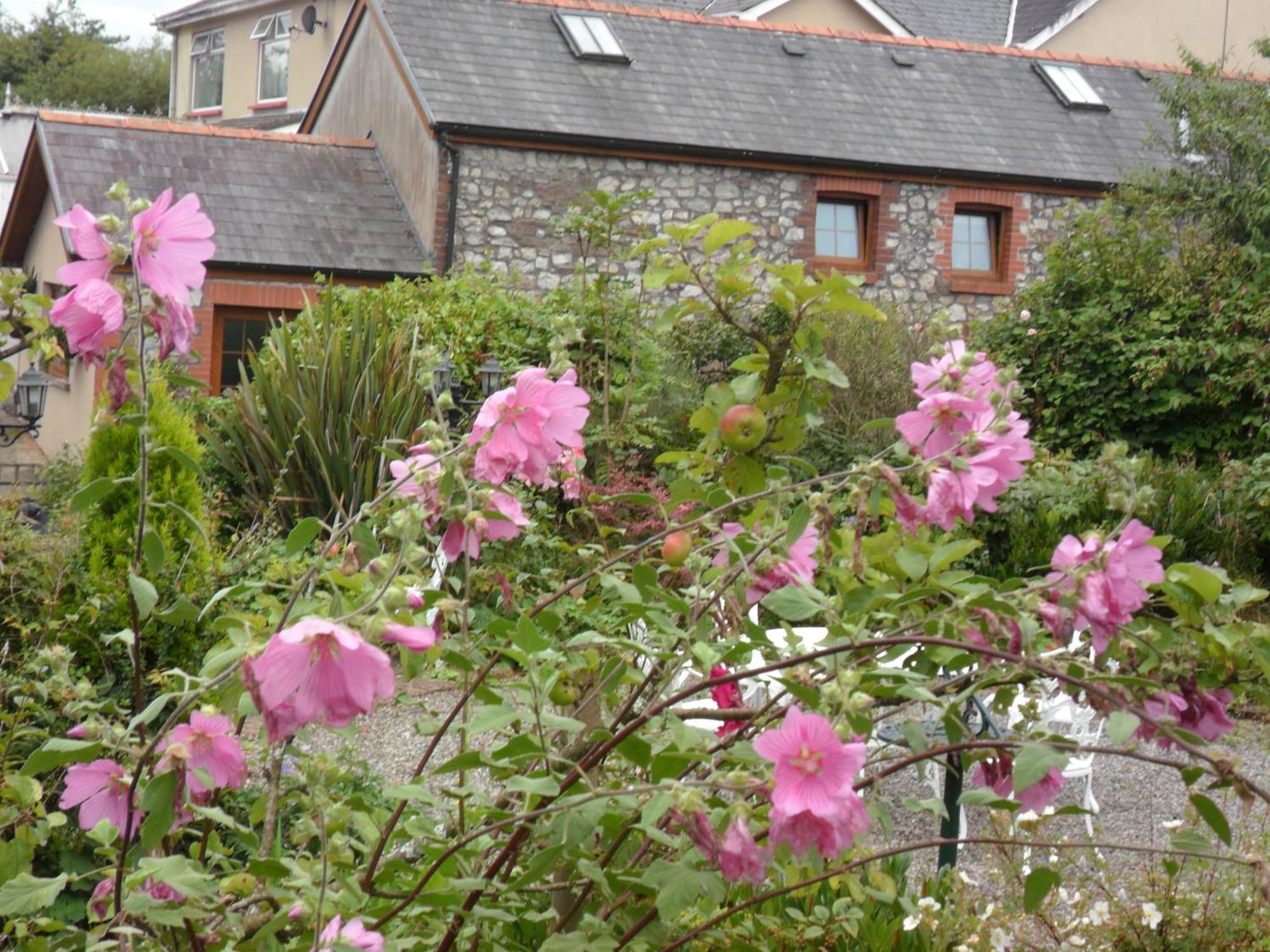 Stag Coach House Hotel Carmel Exterior photo